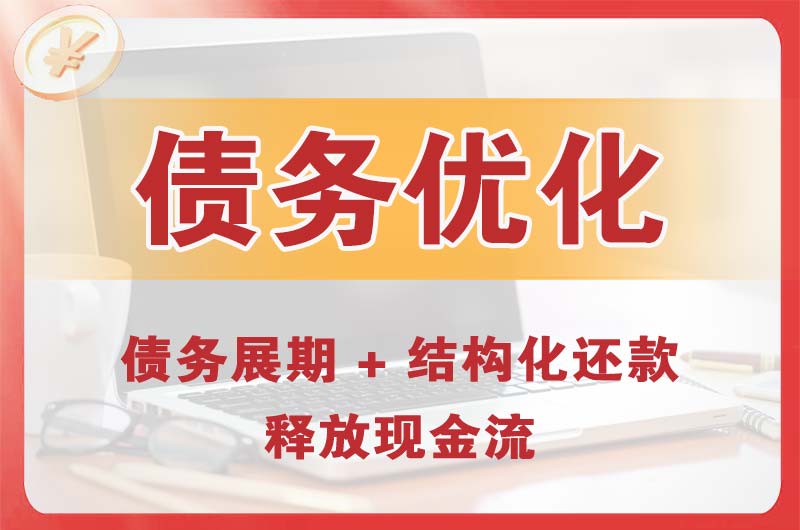 洪湖债务优化